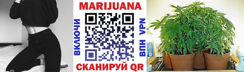 Бошки марихуана THC 21%  где можно купить   Апшеронск 